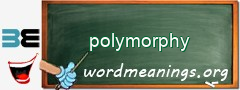 WordMeaning blackboard for polymorphy